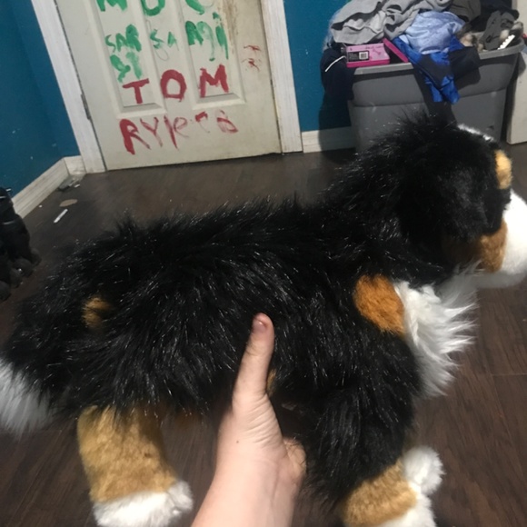 Idk what type of dog this is I forgot but uhm it is a stuffed animal with boxers - Picture 4 of 9